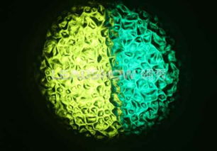 圖片,海量精選高清圖片庫 東莞市領(lǐng)秀光電科技有限責(zé)任公司