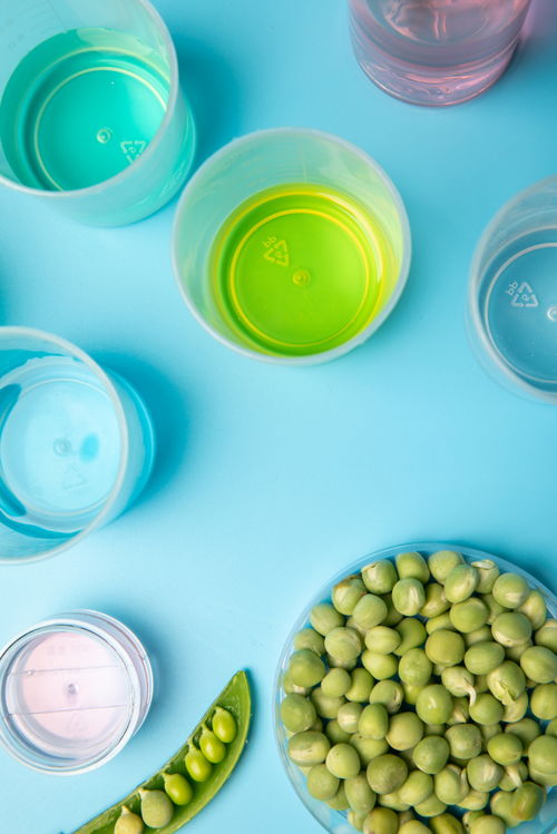 實(shí)驗(yàn)試劑豌豆農(nóng)業(yè)科技食品培育攝影圖 攝影圖 下載至來(lái)源處