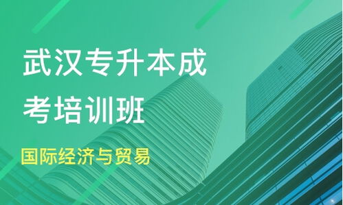 武漢成考專(zhuān)升本國(guó)際貿(mào)易與經(jīng)濟(jì)專(zhuān)業(yè)選擇指南 領(lǐng)航時(shí)代與淘學(xué)培訓(xùn)深度解析